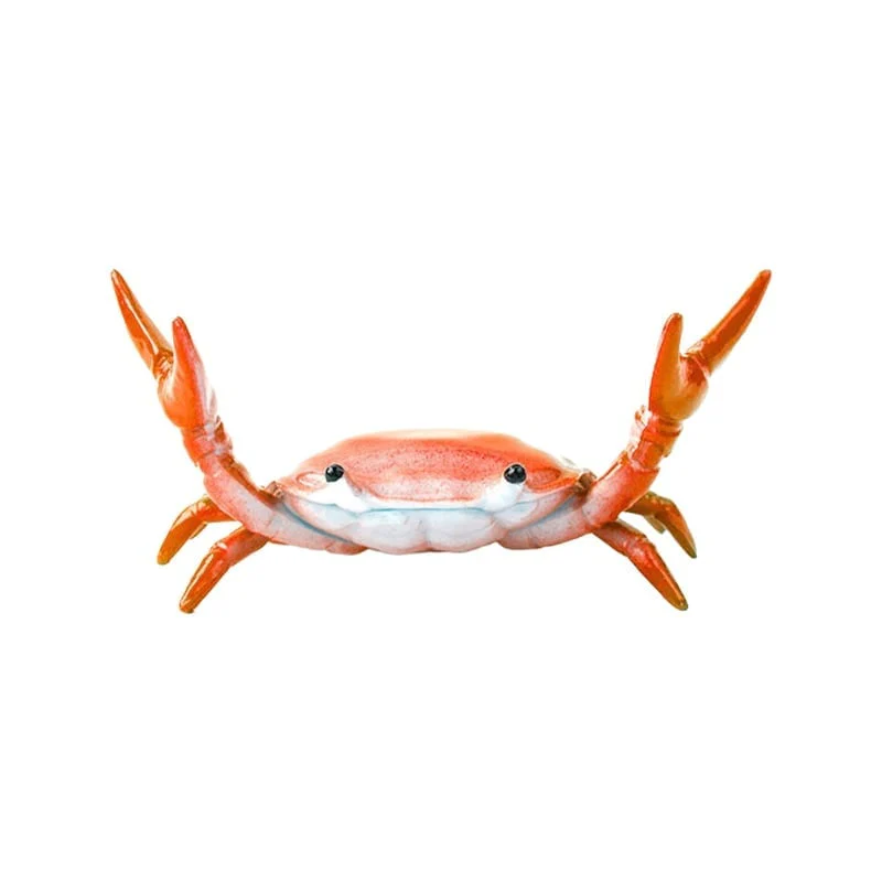 🦀 Crab Weightlifting Pen Holder - Image 12