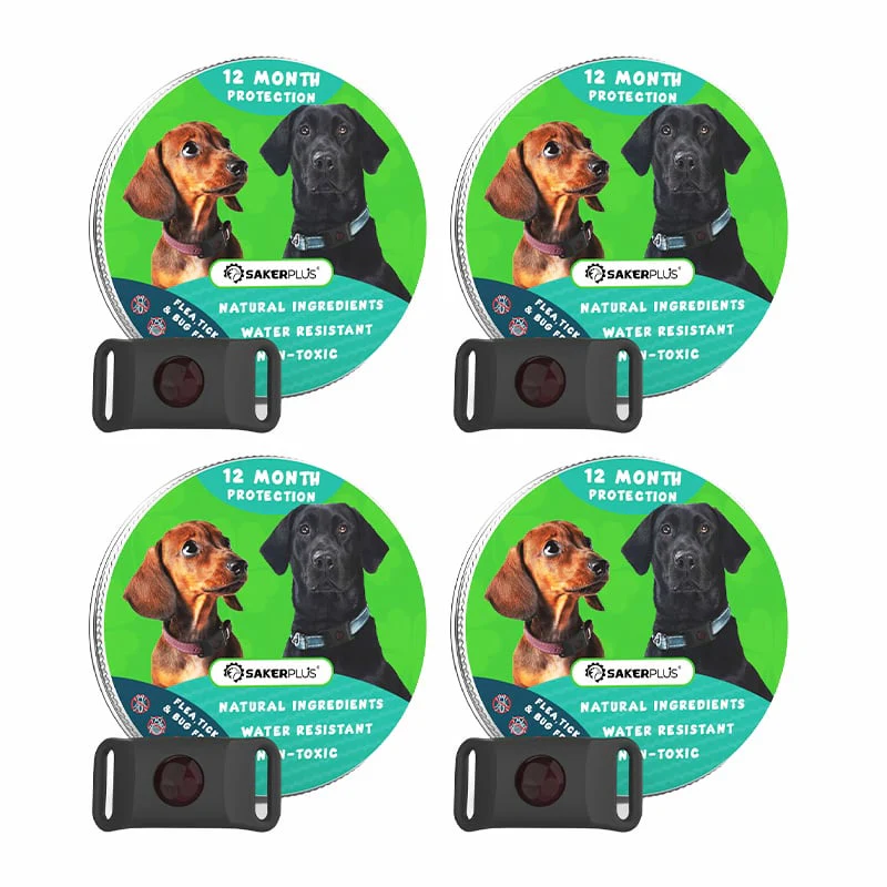 12 Months Flea and Tick Free - Image 11