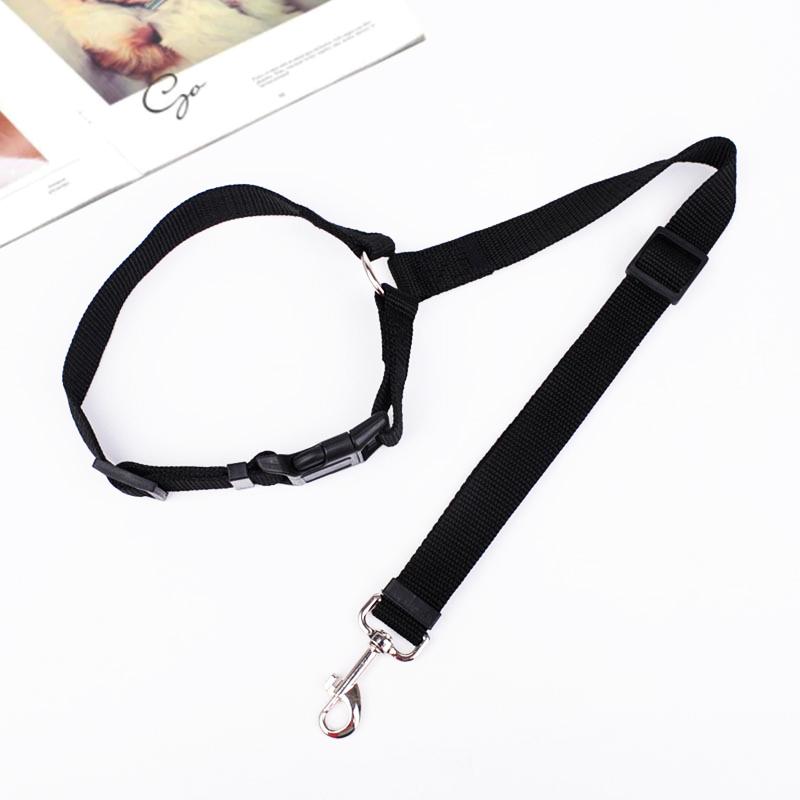 Adjustable Car Dog Leash - Image 11
