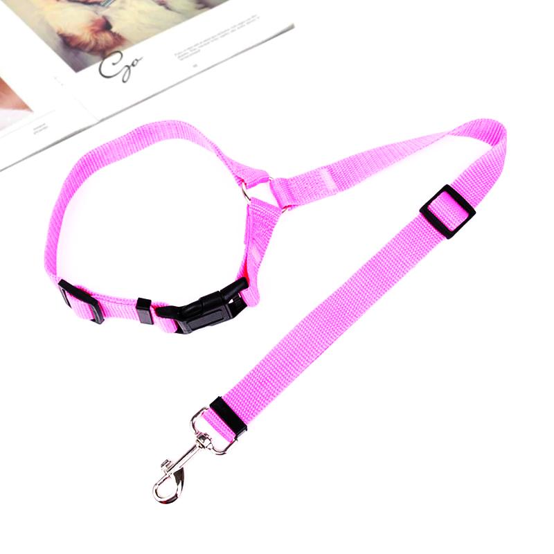 Adjustable Car Dog Leash - Image 12