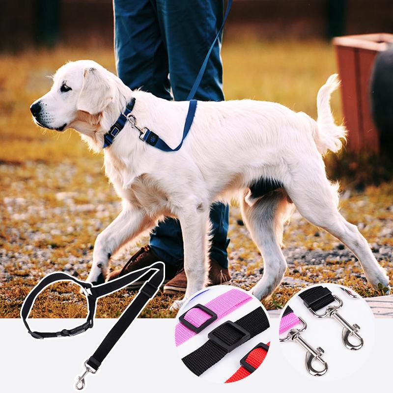 Adjustable Car Dog Leash - Image 3