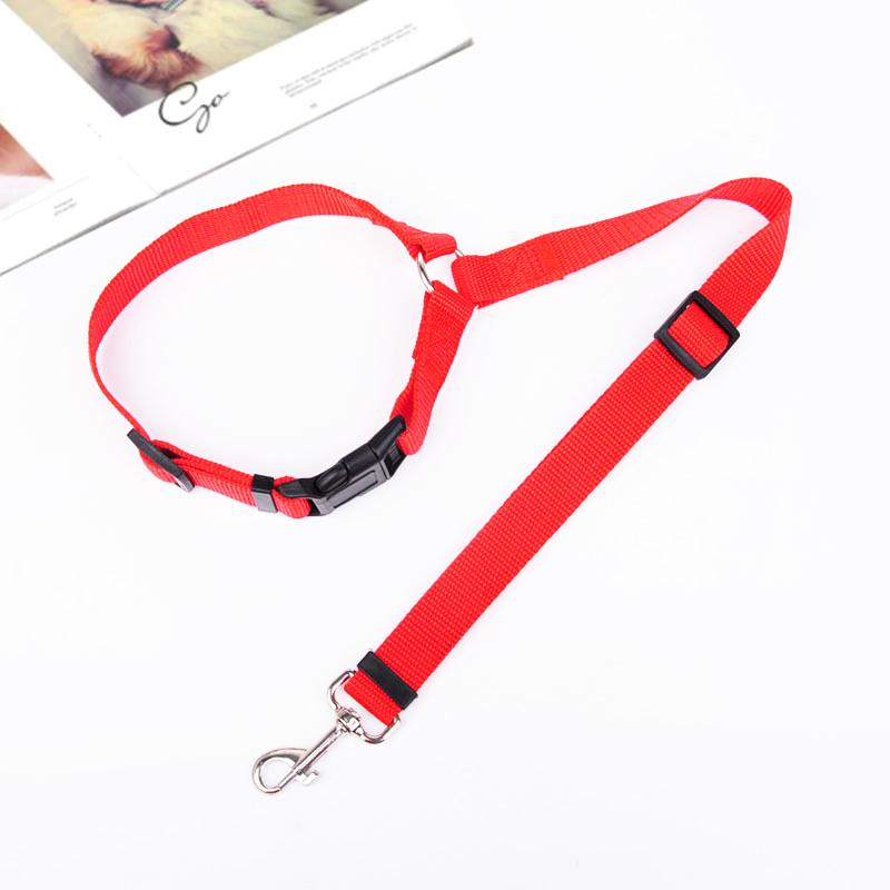 Adjustable Car Dog Leash - Image 9