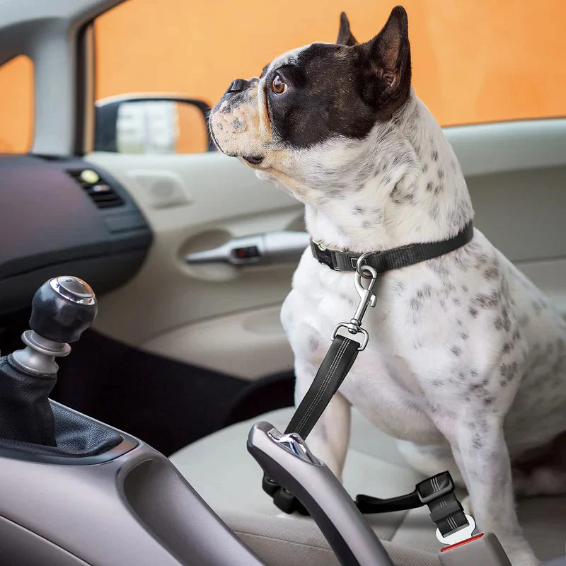 Adjustable Elastic Dog Seat Belt - Image 4