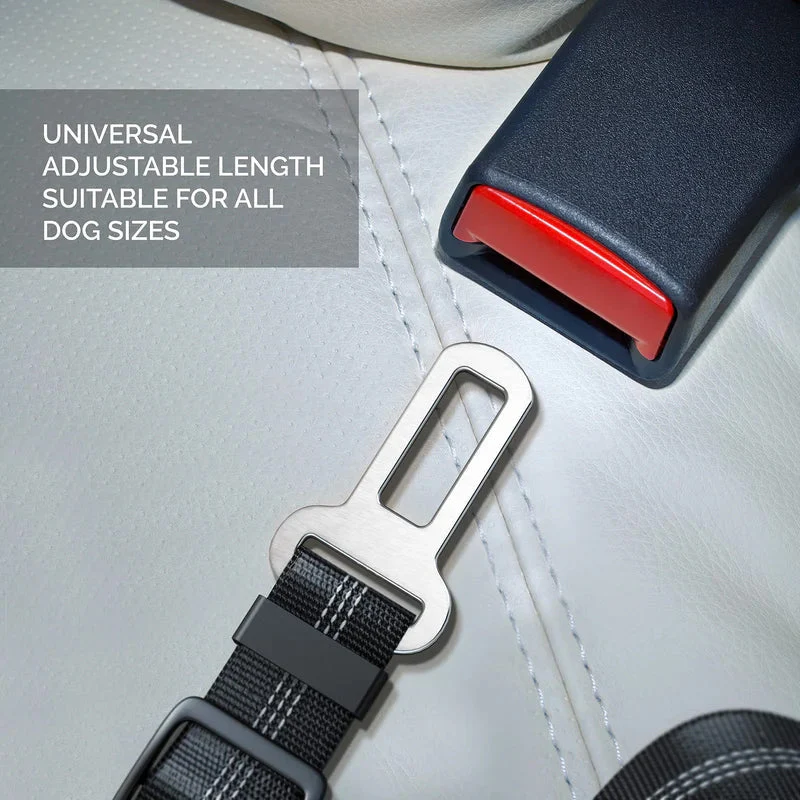 Adjustable Elastic Dog Seat Belt - Image 5