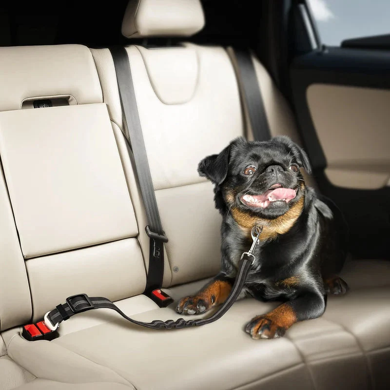 Adjustable Elastic Dog Seat Belt - Image 6