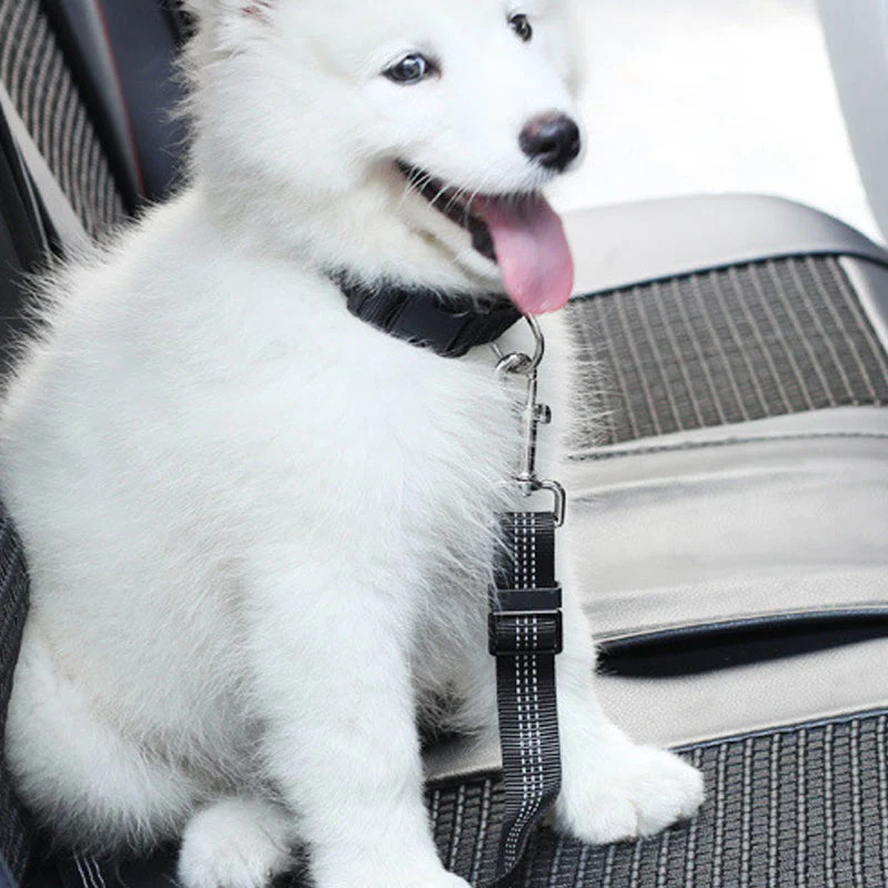Adjustable Elastic Dog Seat Belt - Image 8