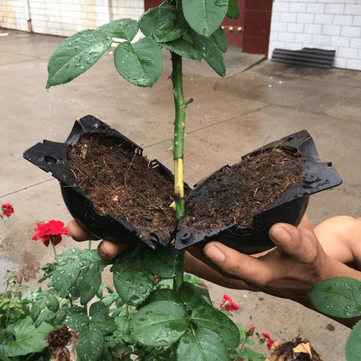 Air Layering Plant Propagator Pod - Image 4