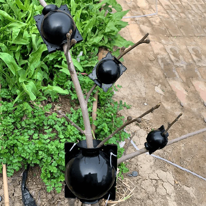 Air Layering Plant Propagator Pod - Image 5