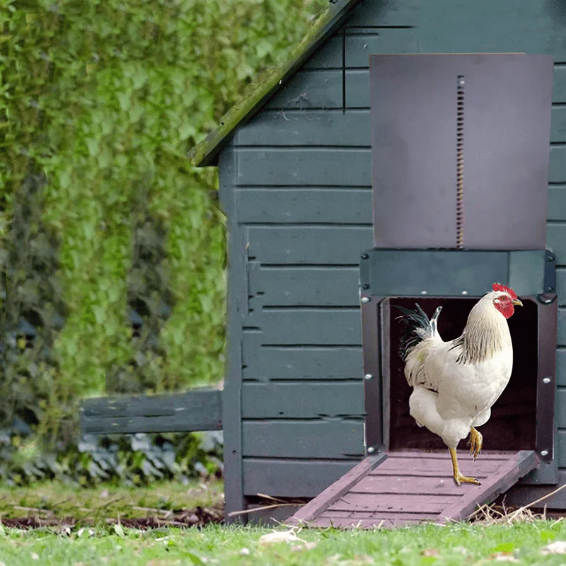Automatic Chicken Coop Door - Image 4