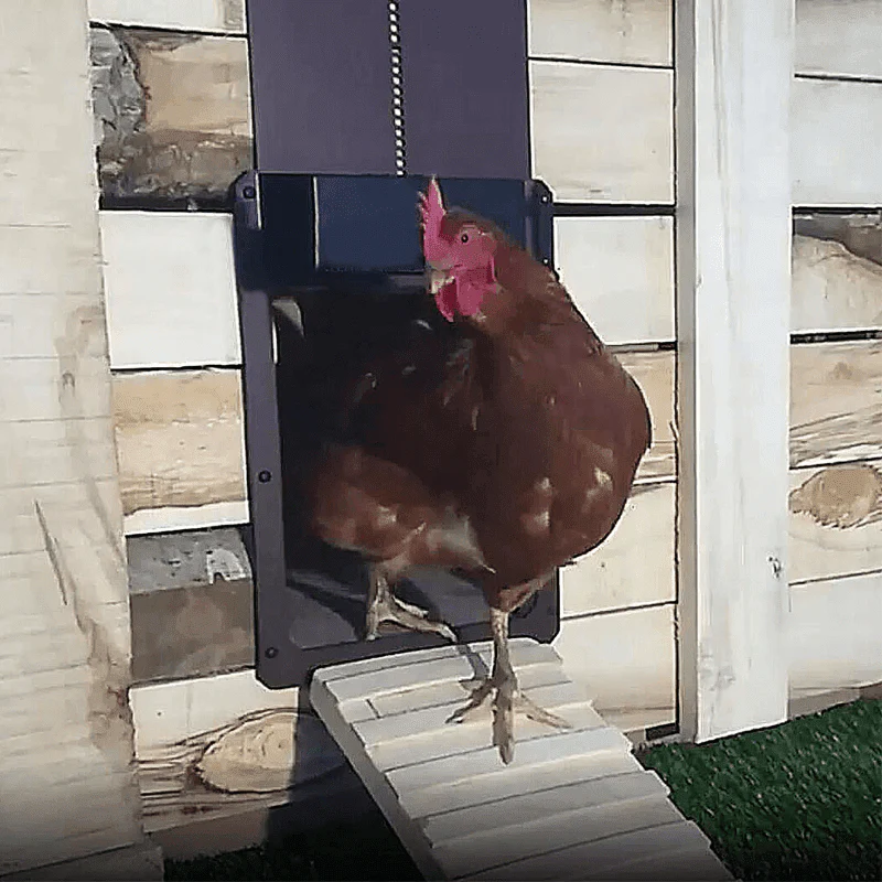 Automatic Chicken Coop Door - Image 5