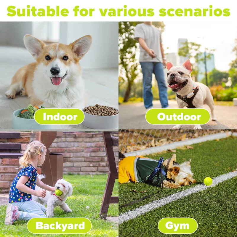 Automatic Dog Ball Launcher - Image 10