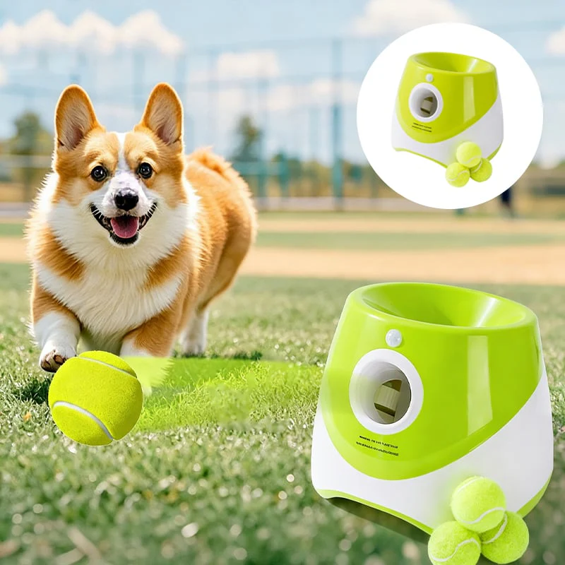 Automatic Dog Ball Launcher - Image 2