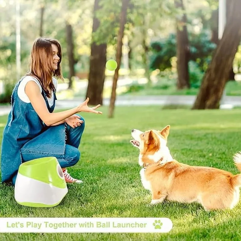 Automatic Dog Ball Launcher - Image 3