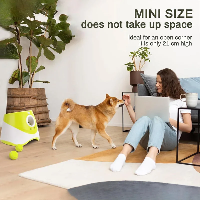 Automatic Dog Ball Launcher - Image 4