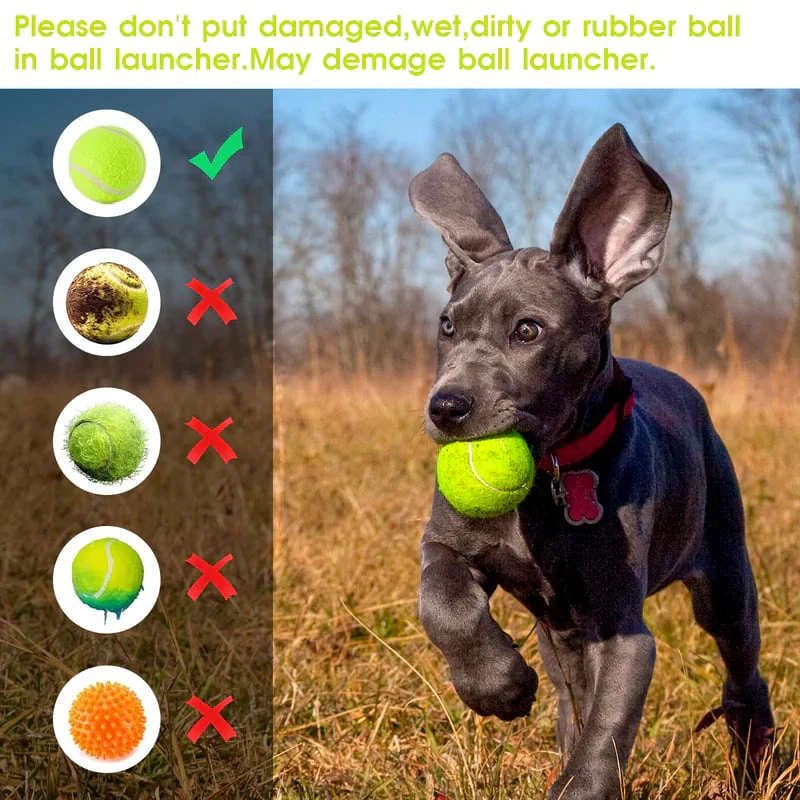 Automatic Dog Ball Launcher - Image 5
