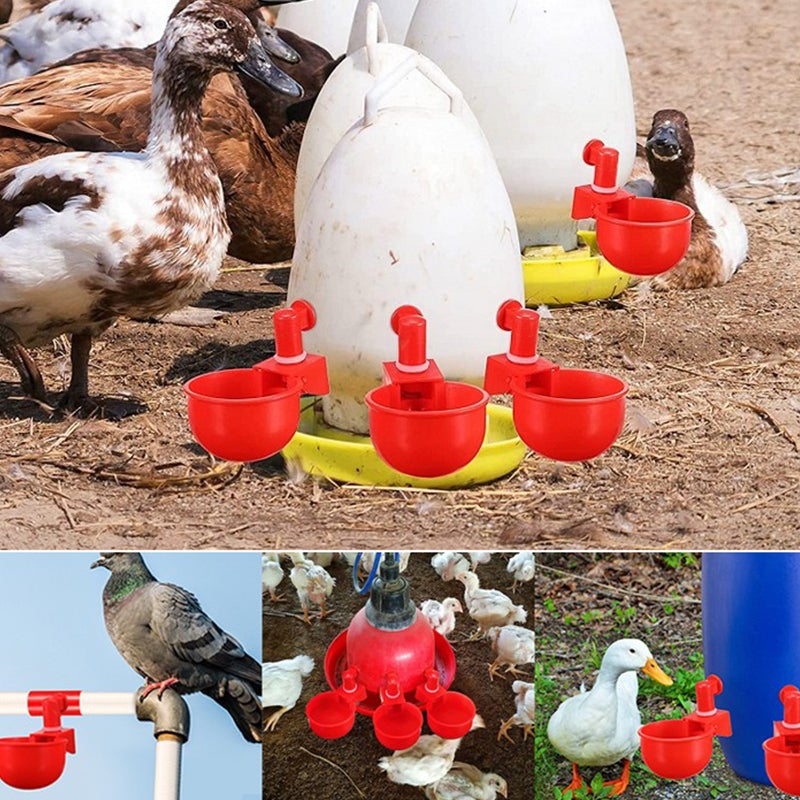Automatic Poultry Drinker - Image 3