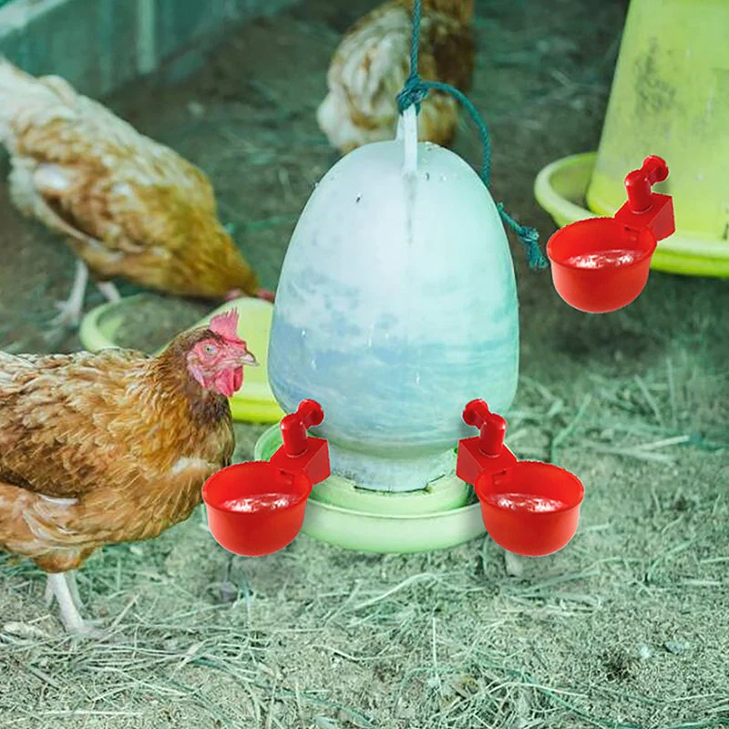 Automatic Poultry Drinker - Image 4