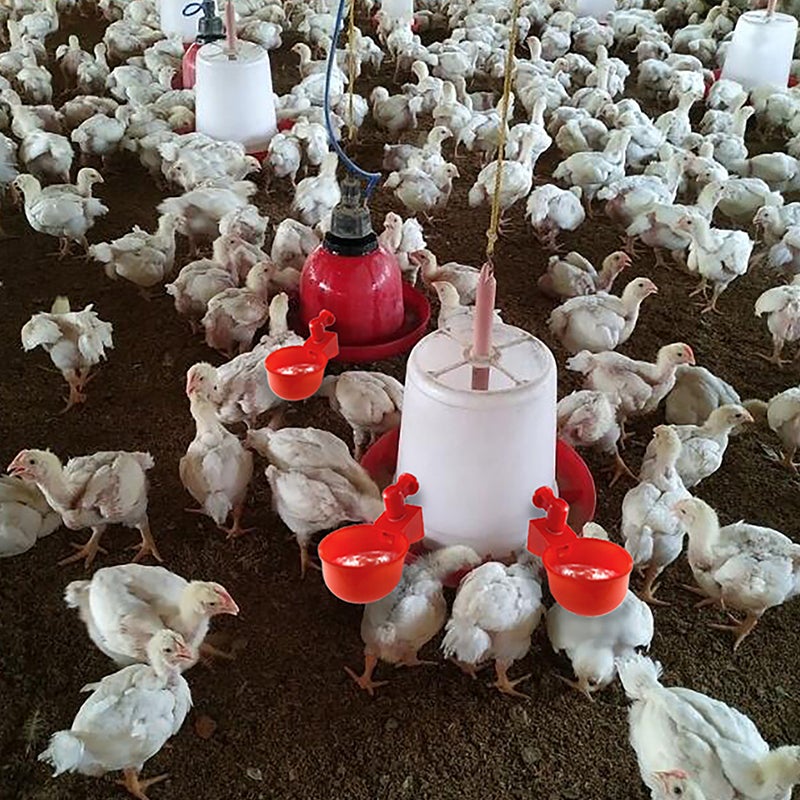 Automatic Poultry Drinker - Image 5