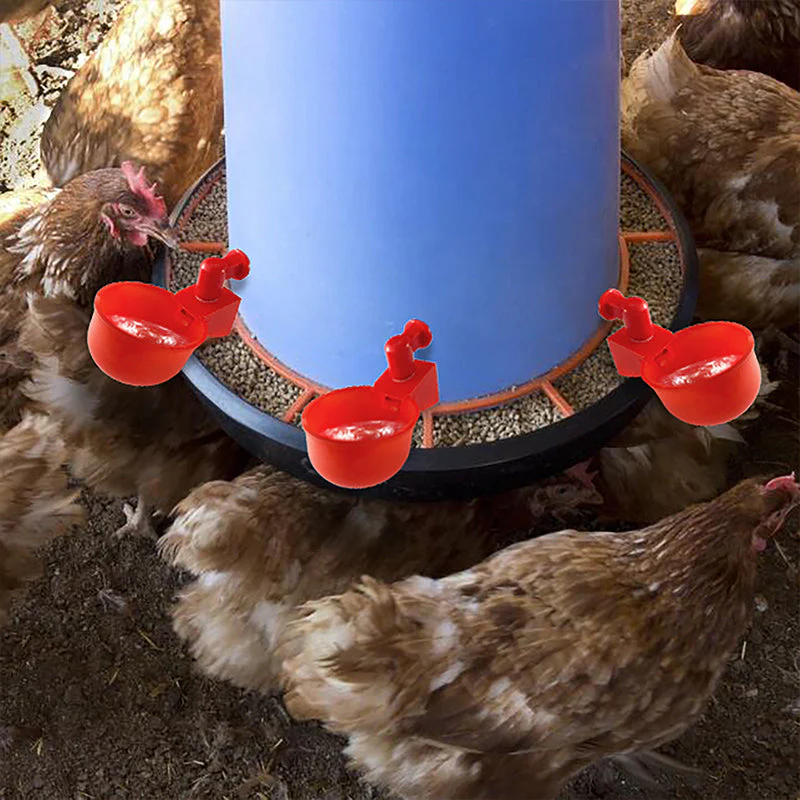Automatic Poultry Drinker - Image 7