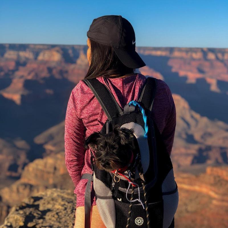 Backpack For Dogs/Cats - Image 11