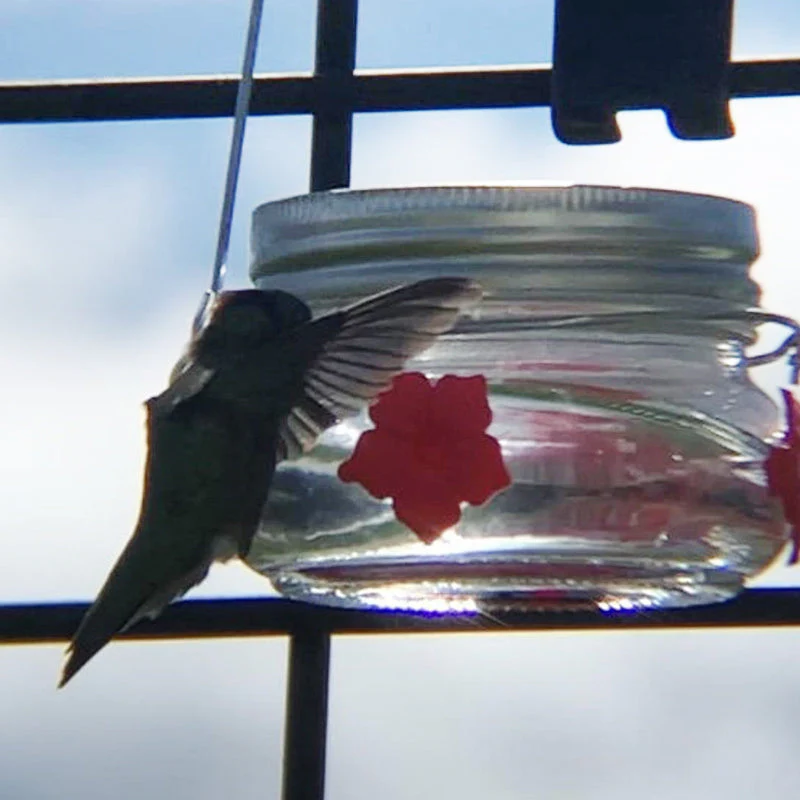 Beautiful Mason Jar Hummingbird Feeder - Image 9