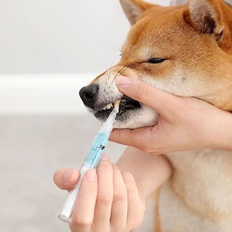 Cat & Dog Teeth Repairing Kit - Image 10