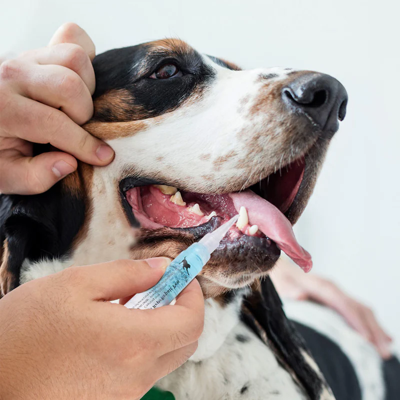 Cat & Dog Teeth Repairing Kit - Image 11