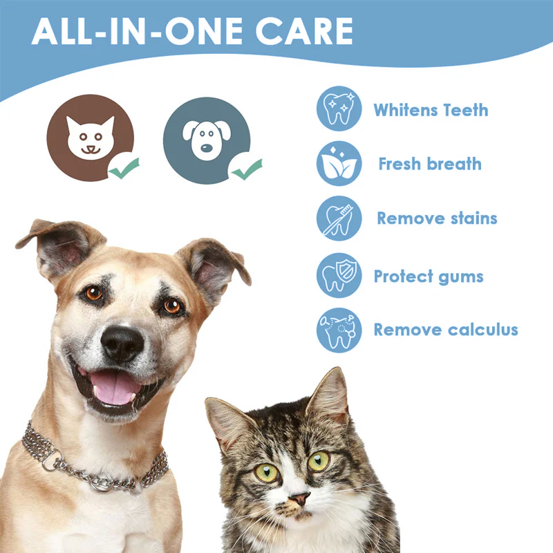 Cat & Dog Teeth Repairing Kit - Image 5