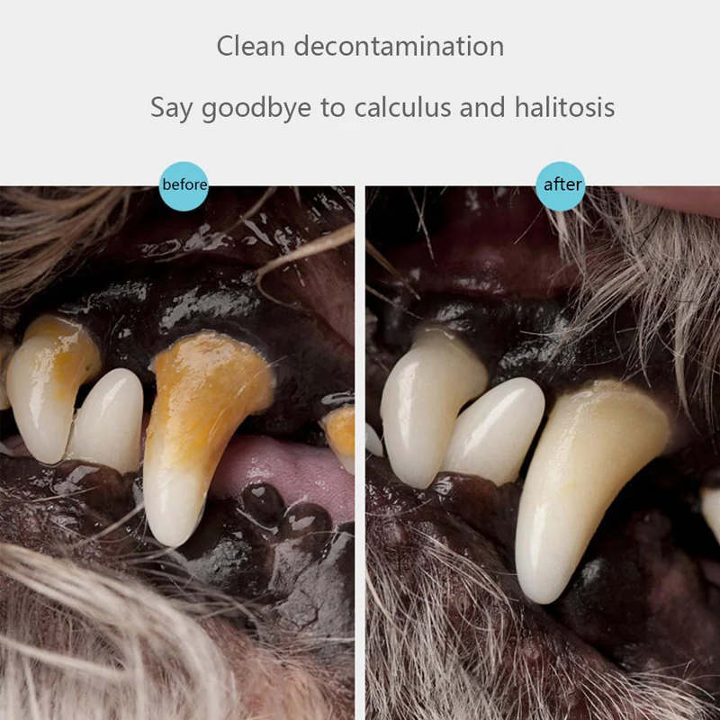 Cat & Dog Teeth Repairing Kit - Image 6