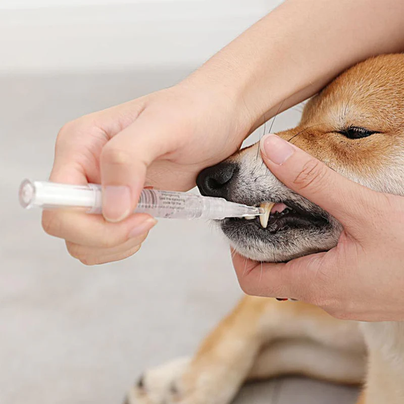 Cat & Dog Teeth Repairing Kit - Image 7