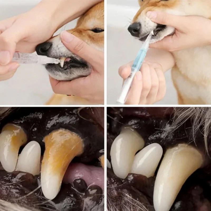 Cat & Dog Teeth Repairing Kit - Image 9