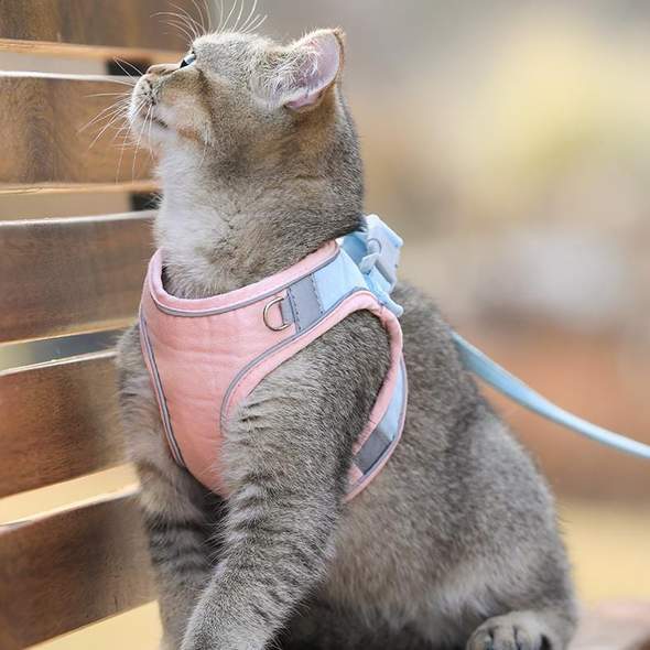 Cat Vest Harness and Leash Set - Image 11
