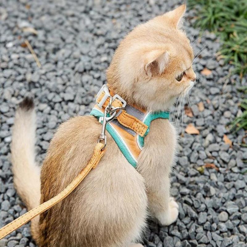 Cat Vest Harness and Leash Set - Image 13