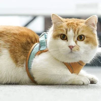 Cat Vest Harness and Leash Set - Image 14
