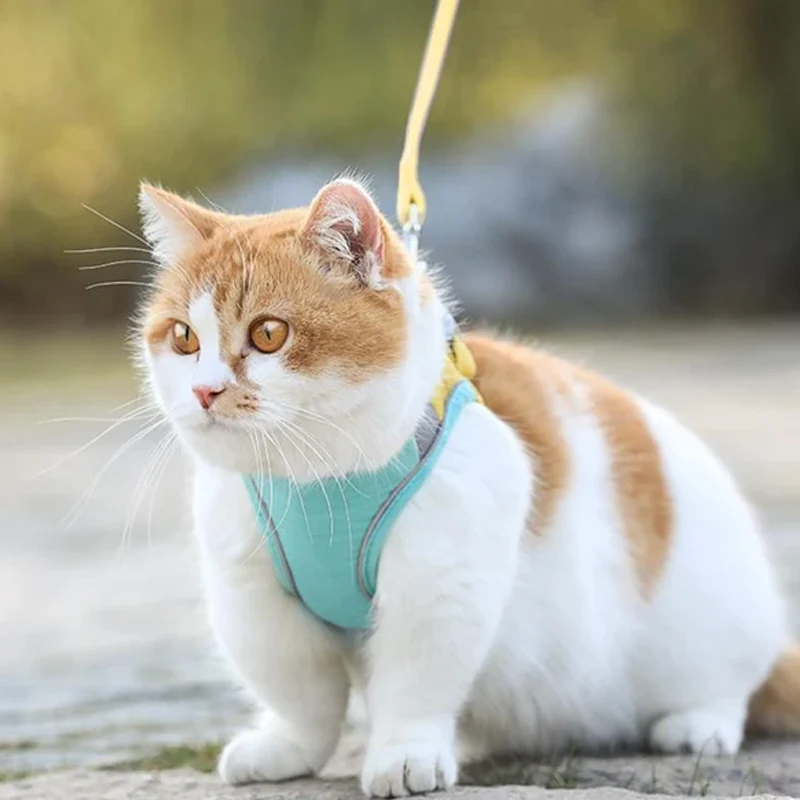 Cat Vest Harness and Leash Set - Image 16