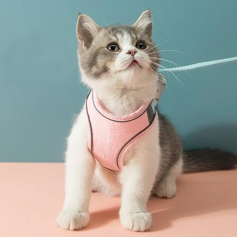 Cat Vest Harness and Leash Set - Image 5