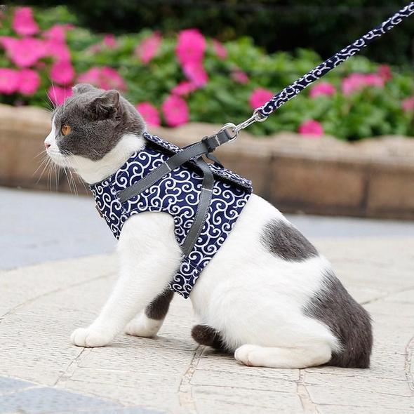 Cat Vest Harness and Leash Set to Outdoor Walking - Image 10