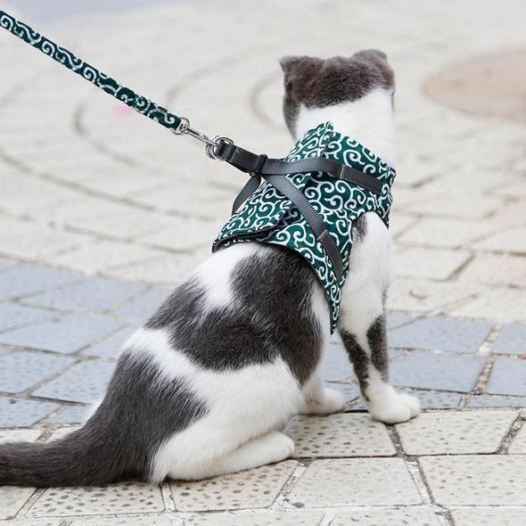 Cat Vest Harness and Leash Set to Outdoor Walking - Image 11