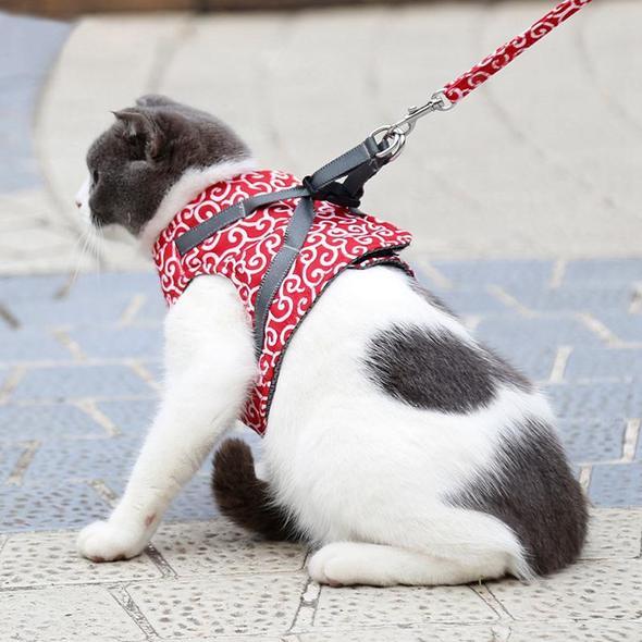Cat Vest Harness and Leash Set to Outdoor Walking - Image 12