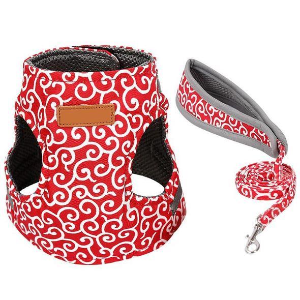 Cat Vest Harness and Leash Set to Outdoor Walking - Image 3
