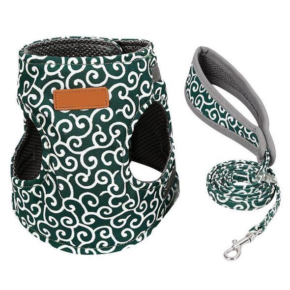 Cat Vest Harness and Leash Set to Outdoor Walking - Image 4