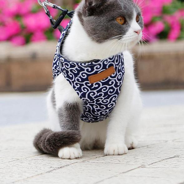Cat Vest Harness and Leash Set to Outdoor Walking - Image 6