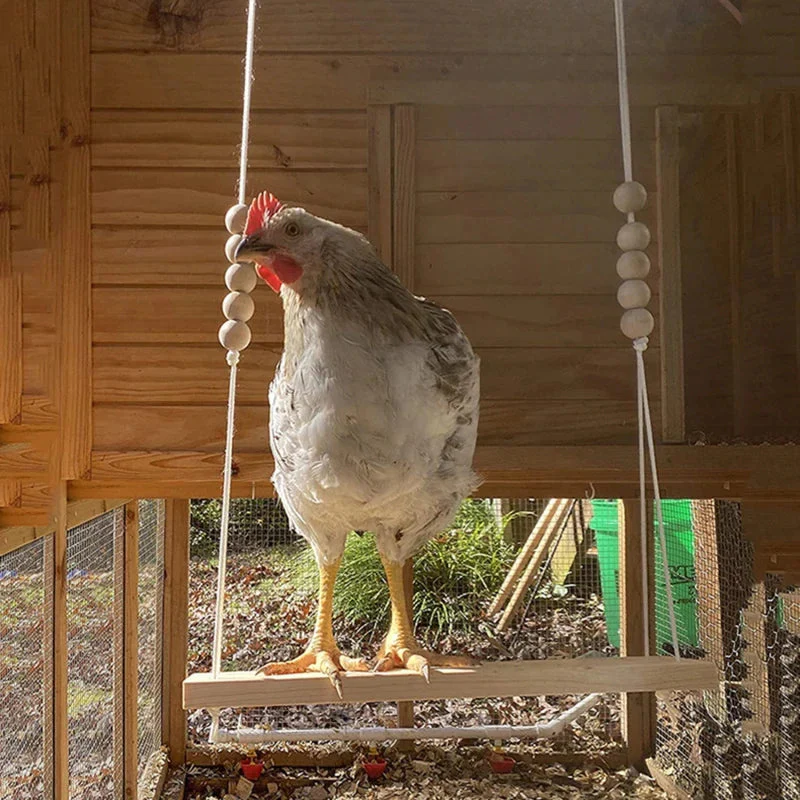 Chicken Swing Toy - Image 2