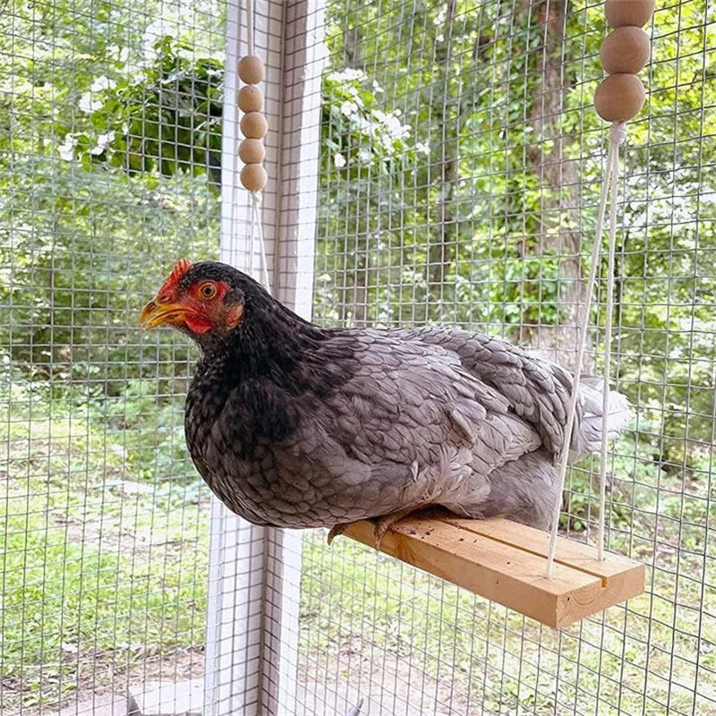 Chicken Swing Toy - Image 3