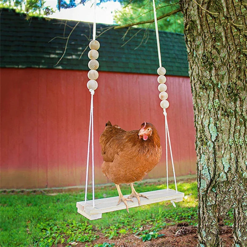 Chicken Swing Toy - Image 5