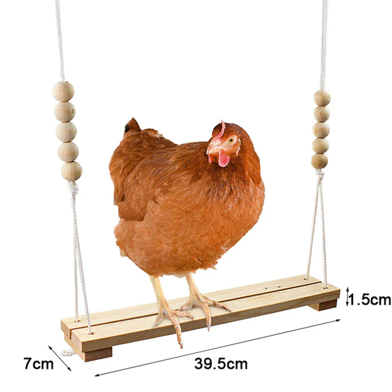 Chicken Swing Toy - Image 7