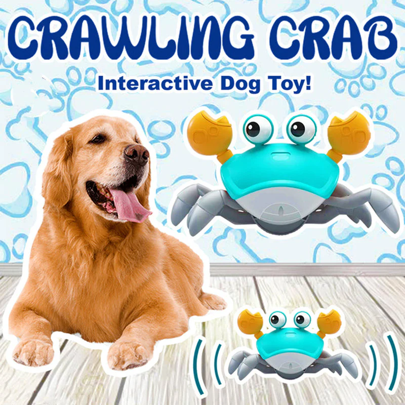 Crawling Crab Toy 🦀 - Image 4