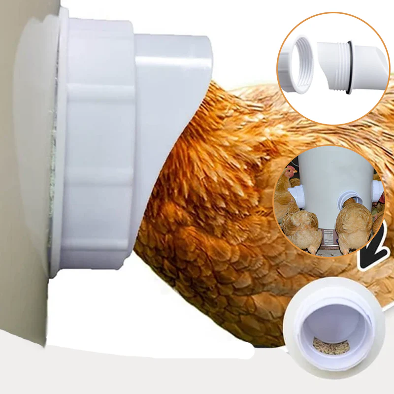 DIY Chicken Feeder - Image 12