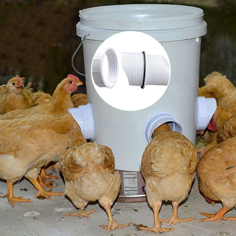 DIY Chicken Feeder - Image 13