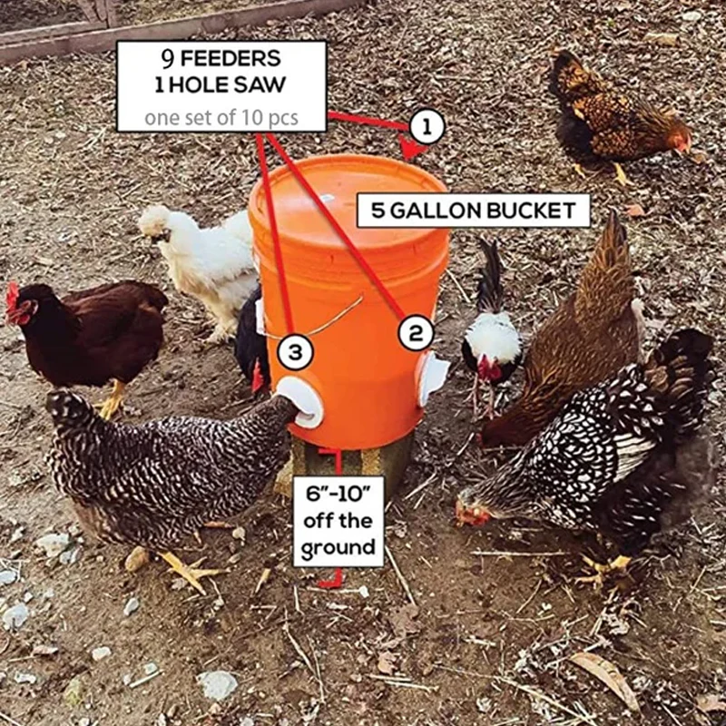 DIY Chicken Feeder - Image 4